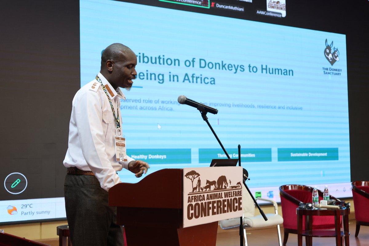 AAWConference's tweet photo. Solomon Onyango, Donkey Sanctuary opened the afternoon session with a talk on the Contribution of Donkeys to Human Wellbeing in Africa.

#AAWC2026 #AAWCZambia #AnimalWelfare #ClimateAction #SustainableDevelopment #AAWCLusaka https://t.co/zoxCvjNq4j