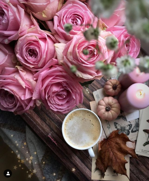 MelsBracelets's tweet photo. Good Morning Happy Tuesday #GoodMorningTuesday #GOODMORNİNG #goodmorningXfam #flowers #goodmorningX #FlowersOnTuesday #blessing #thankyouLord #anotherchance #getitright https://t.co/9RGTPNOeCR