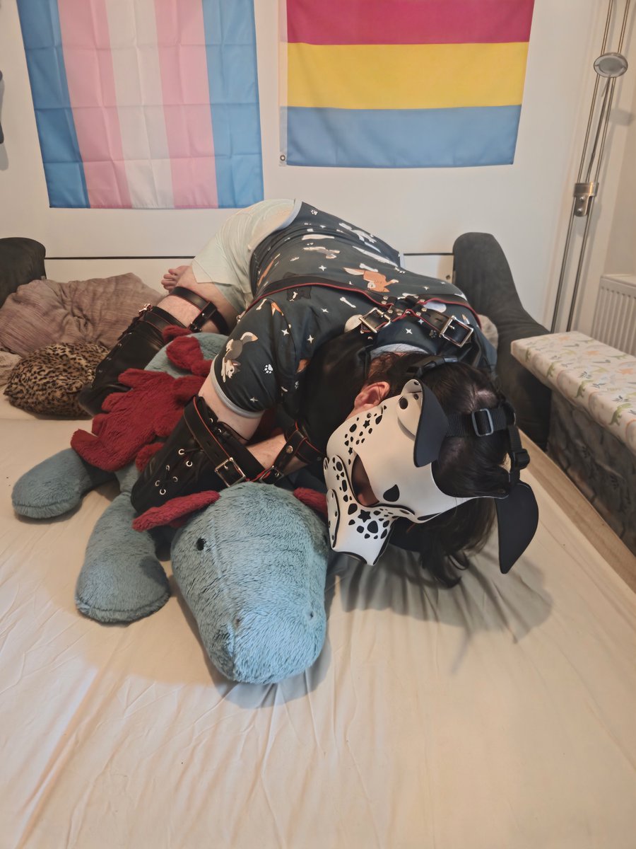 smolSovie's tweet photo. locktober is keeping me so frustrated, not even my plushies can help :c https://t.co/J1Aztwvh2C