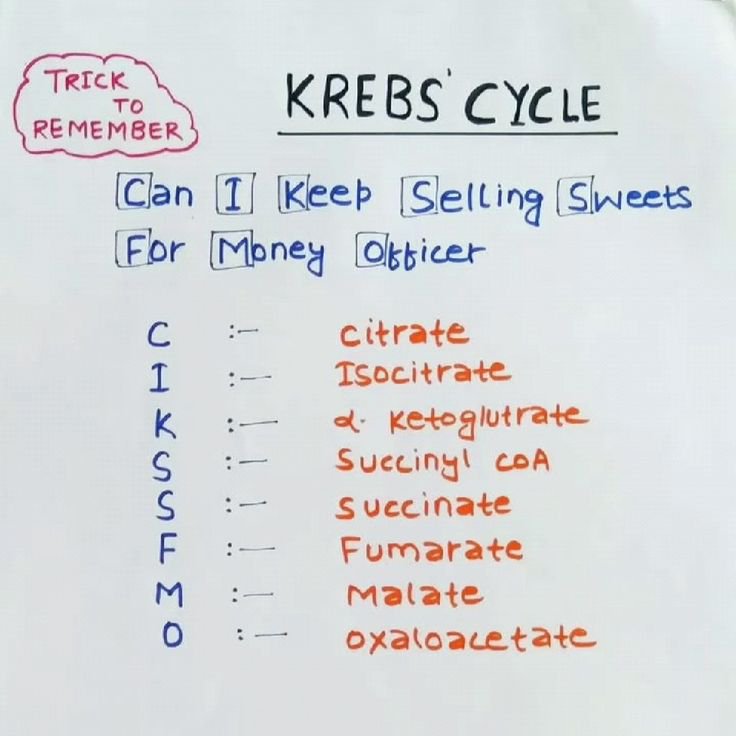 bitterswetts's tweet photo. ᅠ

📍 Prosus lnten , 18.00 WIB
Tutor : @pramoedyart
Materi : 🔥The Krebs Cycle🔥
Kesan pesan : The one thing I can NOT escape FOREVER in biology: Reaksi jantung saat melihat dirimu dengan yang lain 💔 
Rating materi : 6.5/10 
Pusing banget, otak Echa meledug?! 😵‍💫
ᅠ https://t.co/h6BI2n5v9h