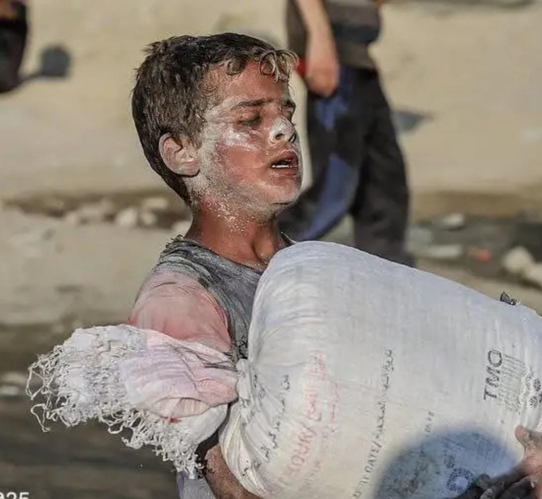 RTElice_'s tweet photo. O küçük omuzlar yoruldu, dünya hâlâ susuyor… 

#Gaza 💔 https://t.co/CE31ypozOs