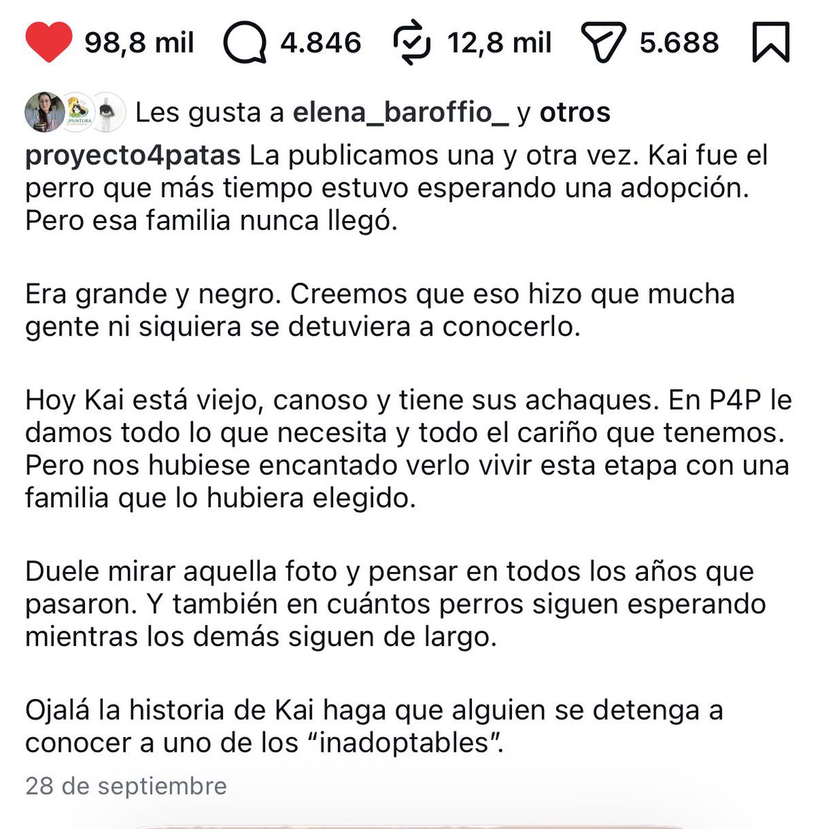 salvinamusica's tweet photo. Toda su vida en el refugio 4 patas. Los mismo que salvaron a Agustín, el perrito mutilado por la Municipalidad de @gustavomenendez 
Ya está viejo y con achaques. Empezó siendo negro. Esos perros negros que nadie quiere. Y ahora es gris. Como lo que fue su vida hasta ahora.
¿Te animás a adoptarlo y realizar la obra de amor más grande que se pueda hacer con un perro? Argos esperó a Odiseo 20 años. 
Kai hace 11 que espera. Al menos desde que llegó al refugio.
El este link está el la publicación y el Instagram y podés contactarlos.
¿Hecemos posible que llegue esa persona que lo ame para siempre con un rt?
GRACIAS 

https://t.co/FlWSIdI1GV