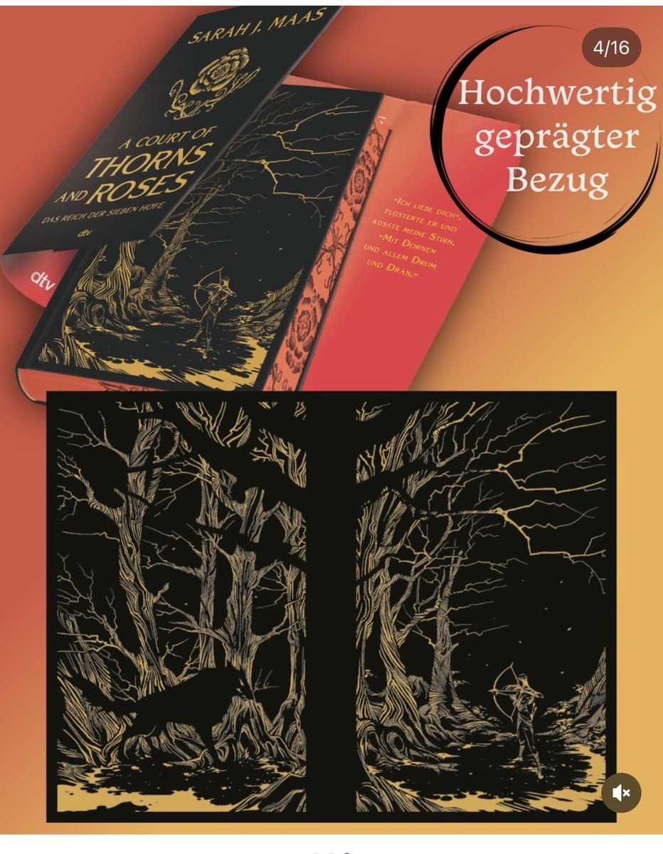 gwynrielheart's tweet photo. Showing you the acotar 1-4 artwork, bc some people truly believe that Nessian is going to split up bc Cassian is not on ACOSH cover. With this logic Acofas would basically mean that the Archerons decided to be singles because there are no bat boys 🤣 artwork shows plot, not ships https://t.co/CirRNB7Ahf