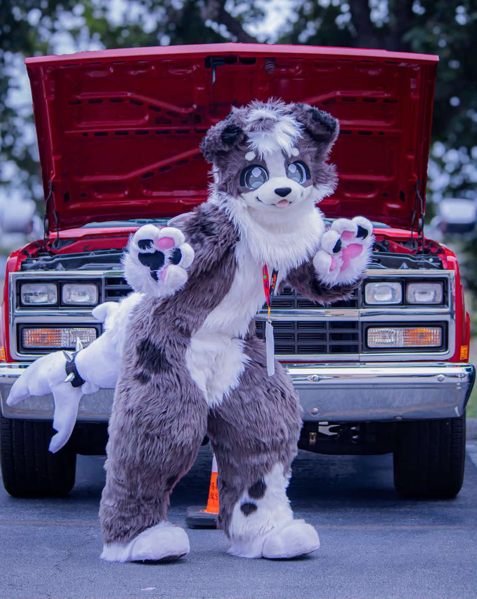 fishwithpaws's tweet photo. Photo by the lovely ollie_.draws on IG from ACFI!! Can’t stop staring at dis X33!!! https://t.co/VXsI4pGv74