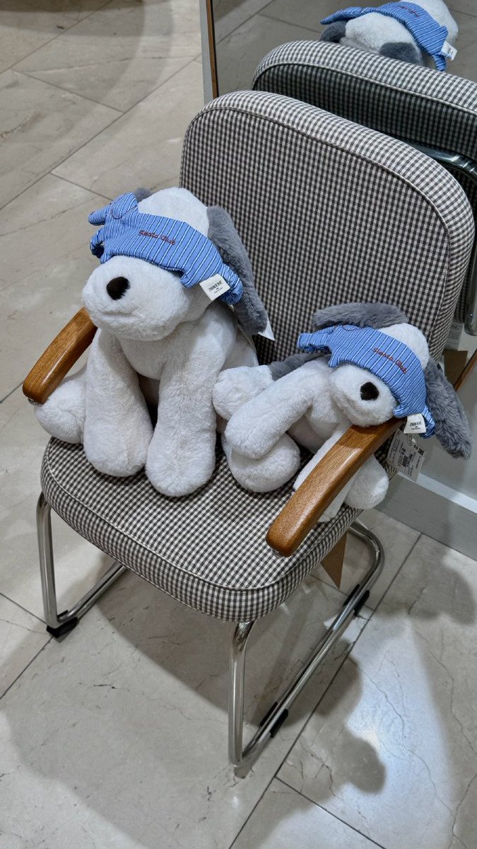 Rob_ertong's tweet photo. 朝食の店にいる、あの可愛らしい犬のぬいぐるみ。 https://t.co/nrHJVw6xUW