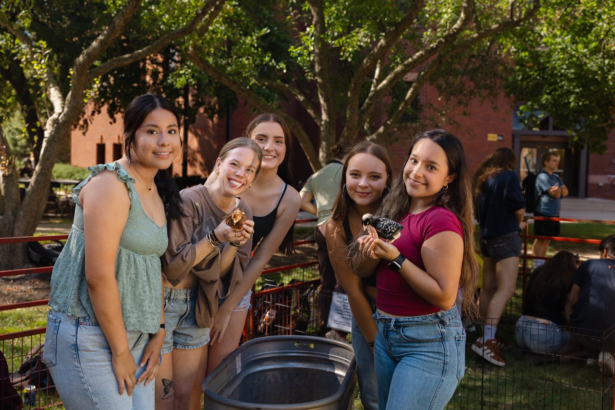 UWM's tweet photo. A peek at campus life beyond the classroom 💛 From creative activities to friendly competition, UWM’s #fallwelcome events gave Panthers plenty of ways to meet new people and get involved! 🐾 https://t.co/UNvAnV2Vml