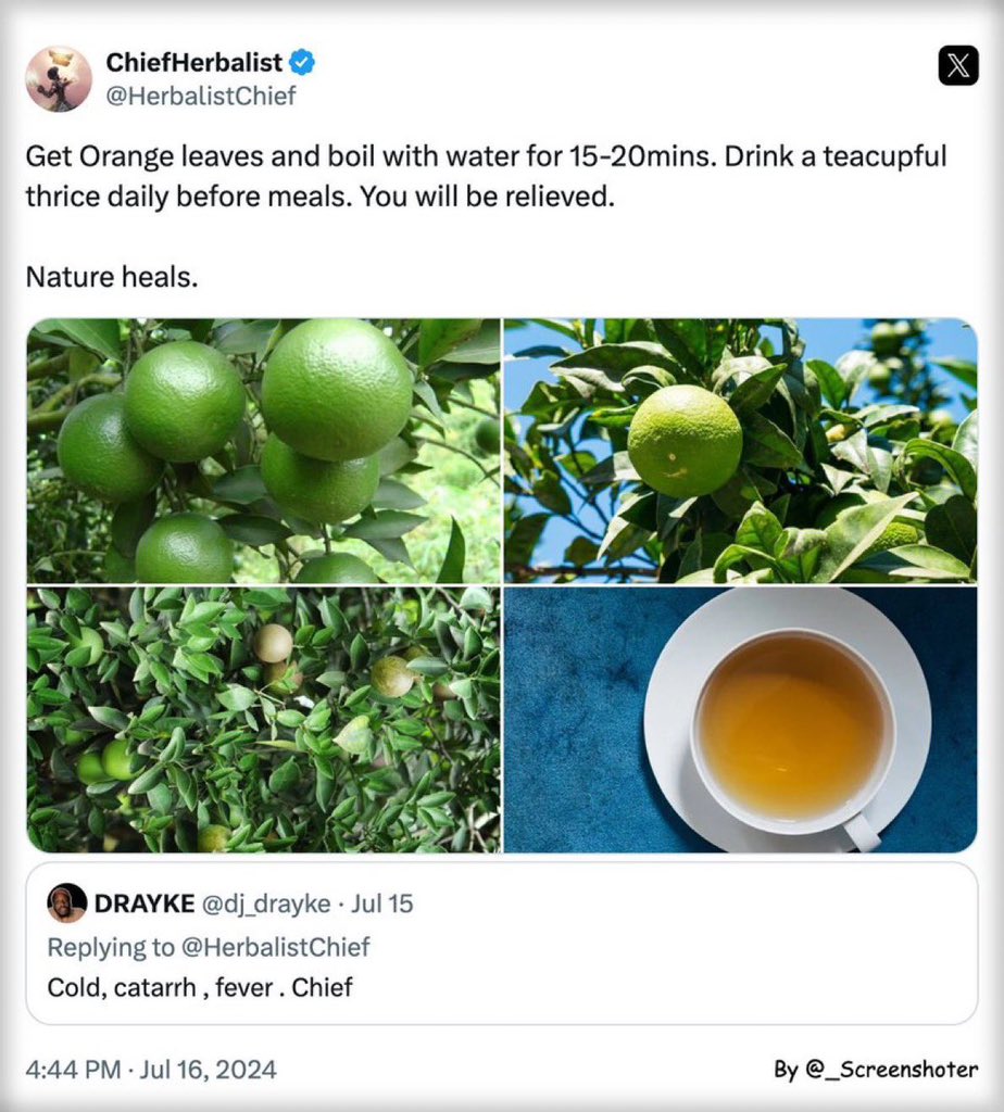 HerbalistChief's tweet photo. Cold, flu, catarrh fever cured successfully with orange leaves. 

Nature heals. https://t.co/axlvKzCYmj