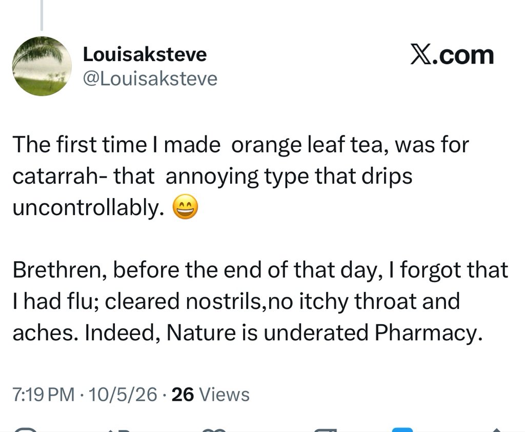 HerbalistChief's tweet photo. Cold, flu, catarrh fever cured successfully with orange leaves. 

Nature heals. https://t.co/axlvKzCYmj