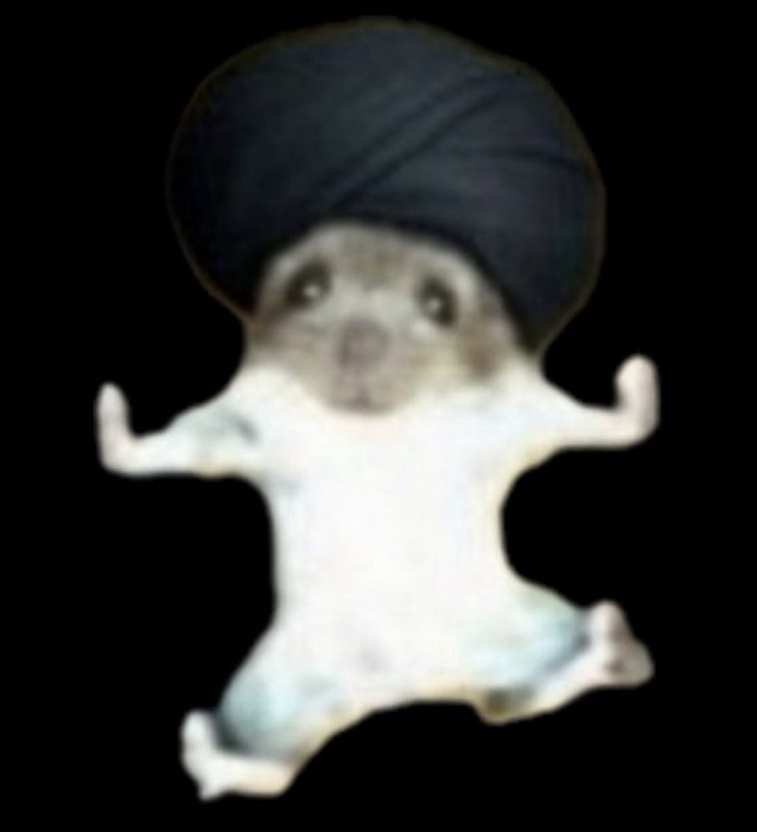 shirposting's tweet photo. What the Israeli cruise missile camera saw before killing Khamenei https://t.co/2VOfyuQKgh