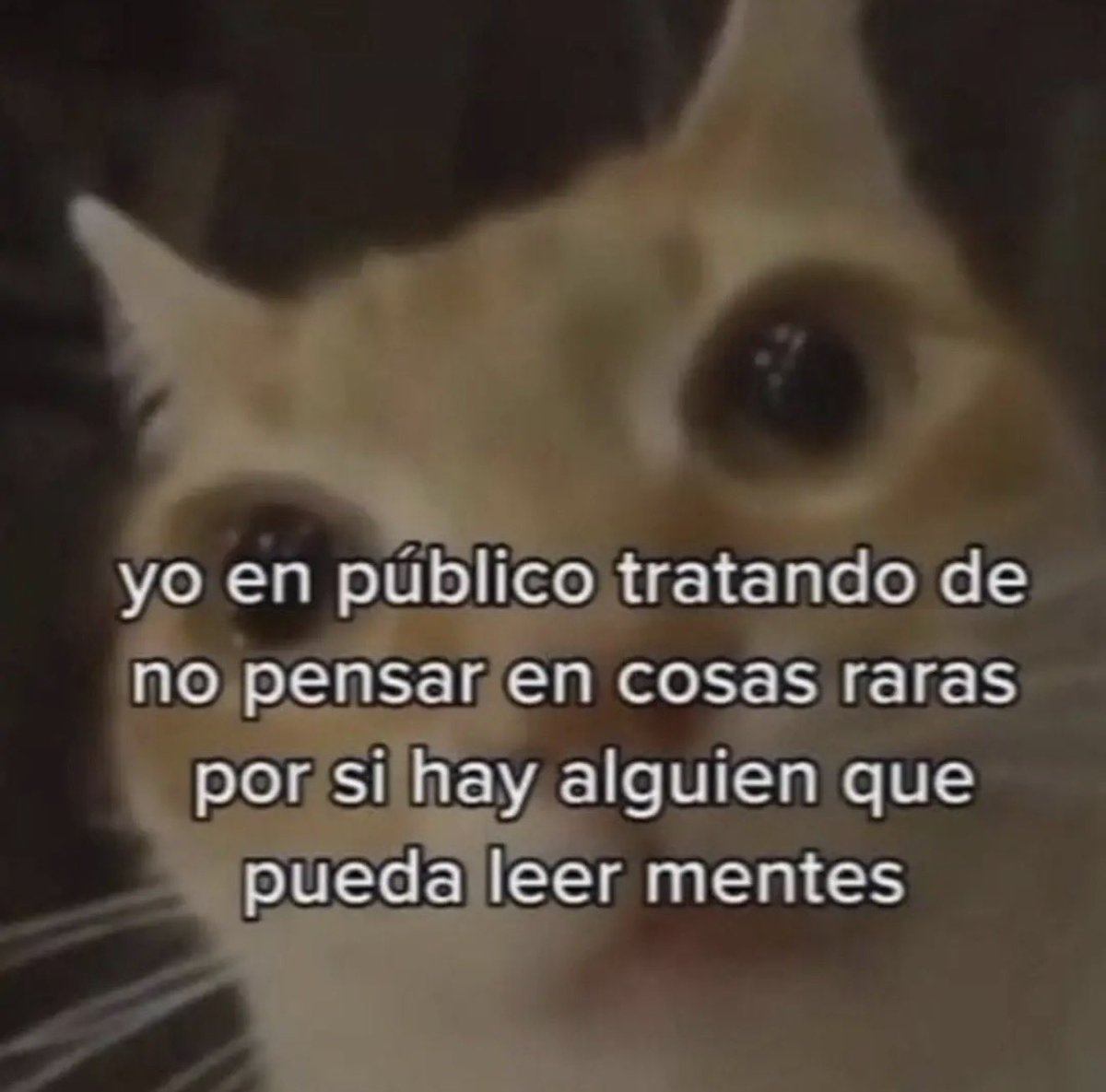 conoloracigarro's tweet photo. https://t.co/SbX73JCsYq