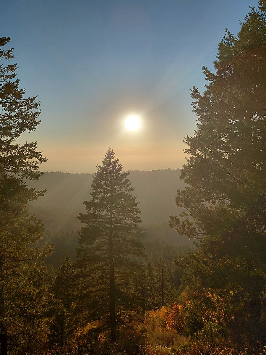 7lostinthewoods's tweet photo. autumnal sunshine https://t.co/RV6D8m0Tzc