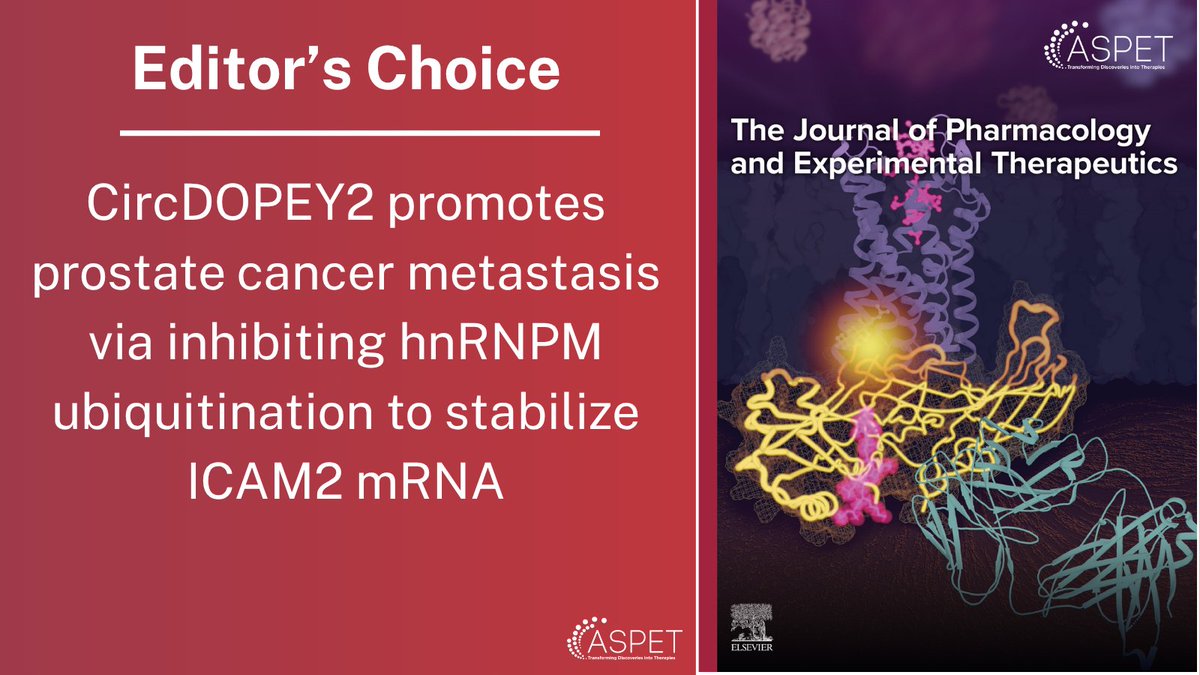 ASPET's tweet photo. In JPET's editor's choice, data provides multiple potential pharmacological targets to prevent prostate cancer metastasis, and circDOPEY2 can be used as a biomarker to track the increased likelihood of prostate cancer metastasis. Read the research: https://t.co/JG5Q6C6Qi5 https://t.co/pyWDhQhdPE