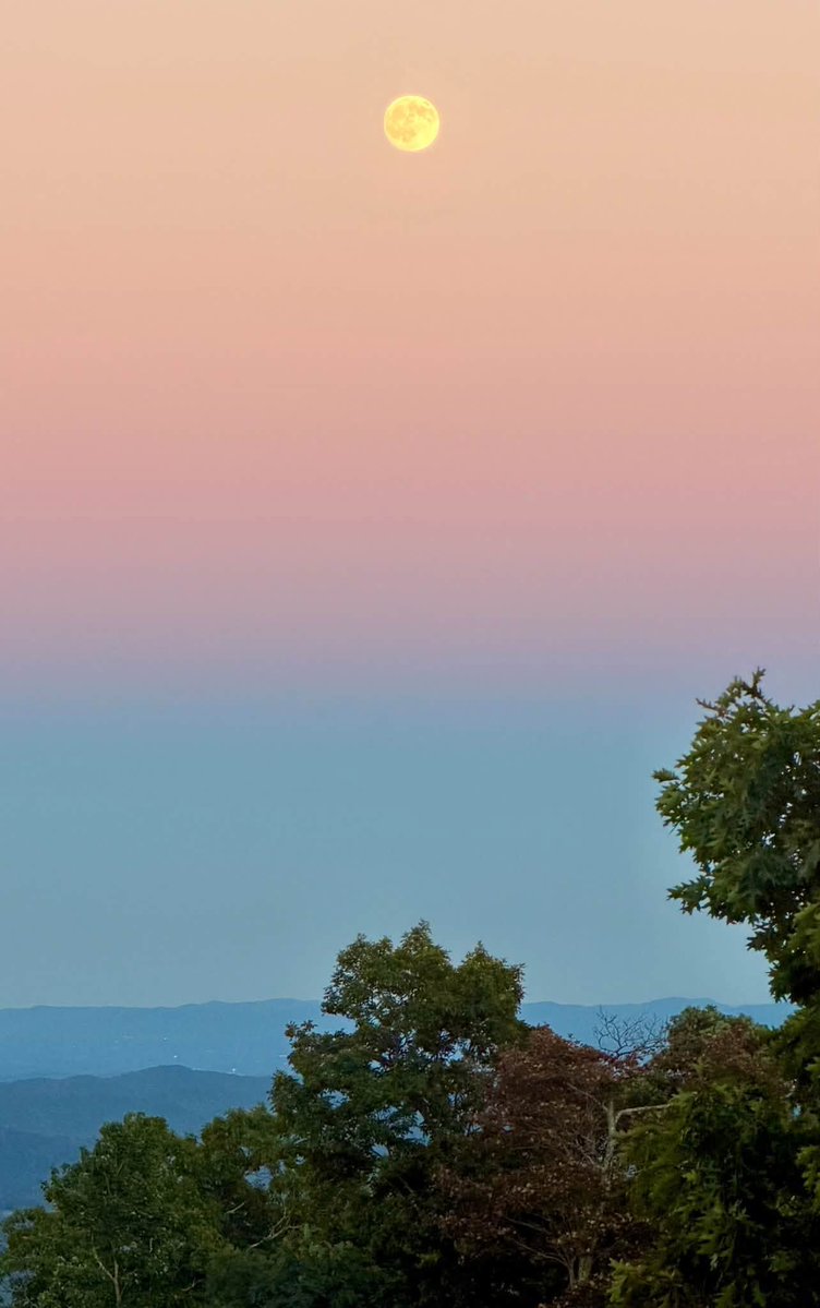 DrAschwartz's tweet photo. Recently at the Art of Living Retreat Center in Boone, NC.

The beautiful space allowed us to deepen with nervous system care &amp; tender conversations about trauma &amp; resilience. It's always a special honor to offer these events.

Upcoming events here: https://t.co/Q6fqeMLTAS https://t.co/TpuK9bDpwl