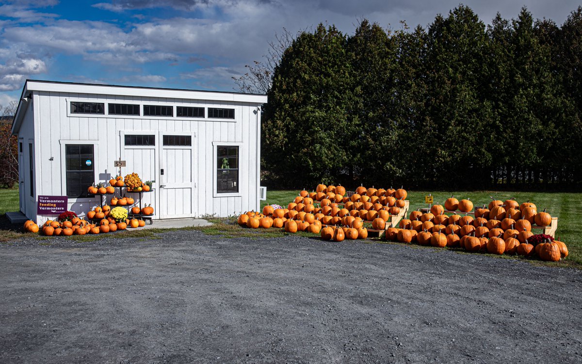 fotogosaurus's tweet photo. the gathering https://t.co/pLVbd0xZW2 #VT #Vermont #NewEngland #Pumpkins #October #Meeting #Gathering #FarmStand #VermontersFeedingVermonters #Local #HalloweenComing #moment #think #Reflect #wonder #Remember #Cycles #Canon #Fall #Autumn #StillLife #LocalFood https://t.co/2Zj49JDjcJ