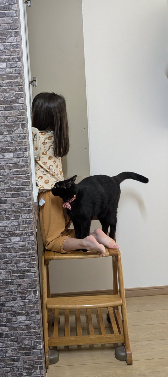konekowohirotta's tweet photo. 3093日目。
棚の中（通称“猫棚”）にある黒猫のごはんを5歳児がヨイショヨイショと出しているのを、待ちきれなくて特大のゴロゴロを鳴らしながらずっと5歳児のまわりをウロウロ＆スリスリする黒猫。「ちたら（＝ティチャラ＝黒猫）はくいしんぼうね」等と言われﾆｬｰだかｱｰだか返事してた https://t.co/dWGC8jczcx