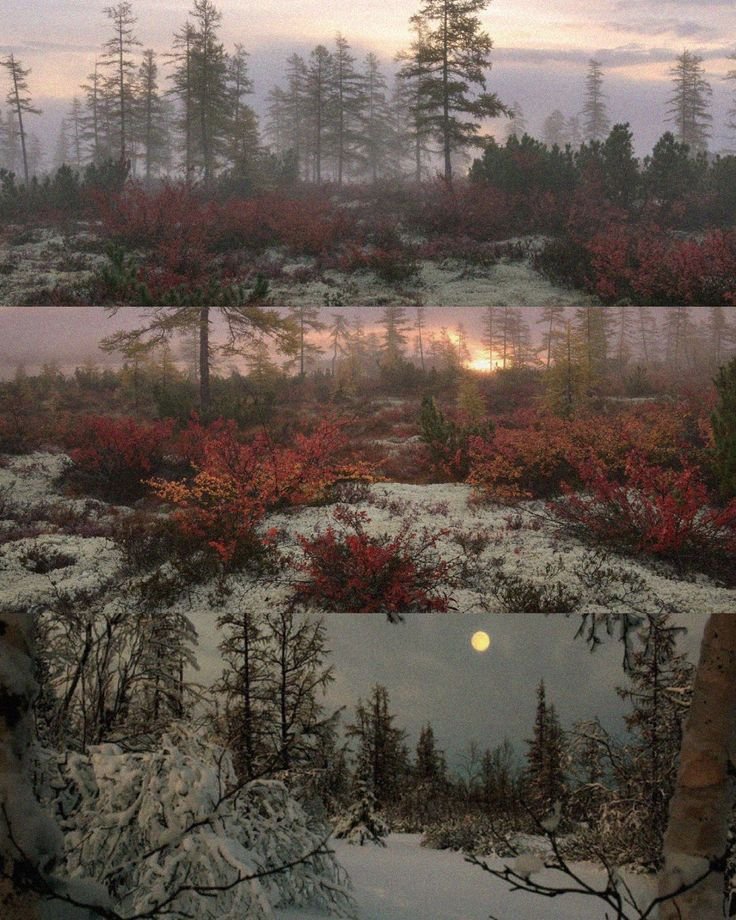 elemmiressoul's tweet photo. winter landscape. https://t.co/lxTpICRzSR
