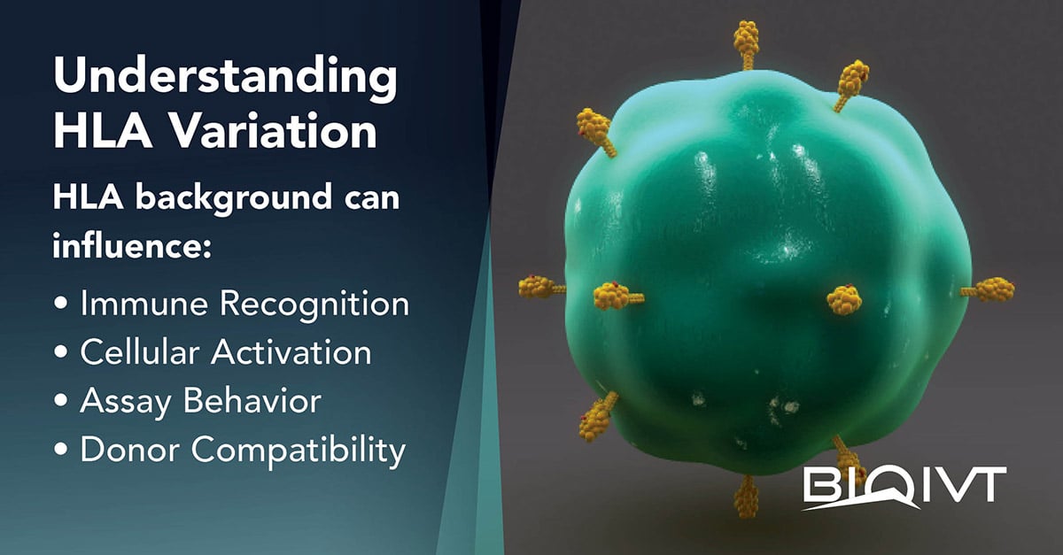 BioIVT's tweet photo. Understanding autoimmune, inflammatory, and allergic disease means accounting for patient-to-patient variability. From HLA type to disease state and clinical history, biological context matters. Explore BioIVT’s immunology research solutions: https://t.co/zrVOUfXgwN https://t.co/XiEue2VNwX