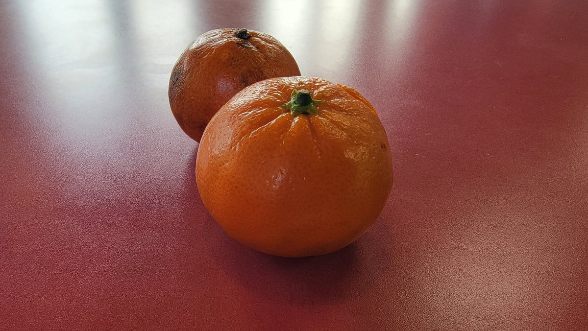 dekebridges's tweet photo. Today is National Fruit at Work Day

On average I eat a banana a day
and love to have mandarins on
hand. Nice little snacks. 
Today I threw 3 of them in my
pocket as I headed out.

Eat healthy!!! https://t.co/No2Ye8uRKZ