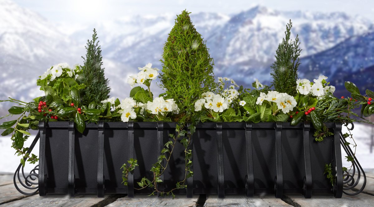WindowBoxCo's tweet photo. Keep your window boxes looking their best through winter. Container roots are more exposed to cold, and raised window boxes need extra care. Help protect your plants and preserve your display with our guide to winterizing window boxes. https://t.co/8pjpGfFzWh https://t.co/sBpgnBsqSN