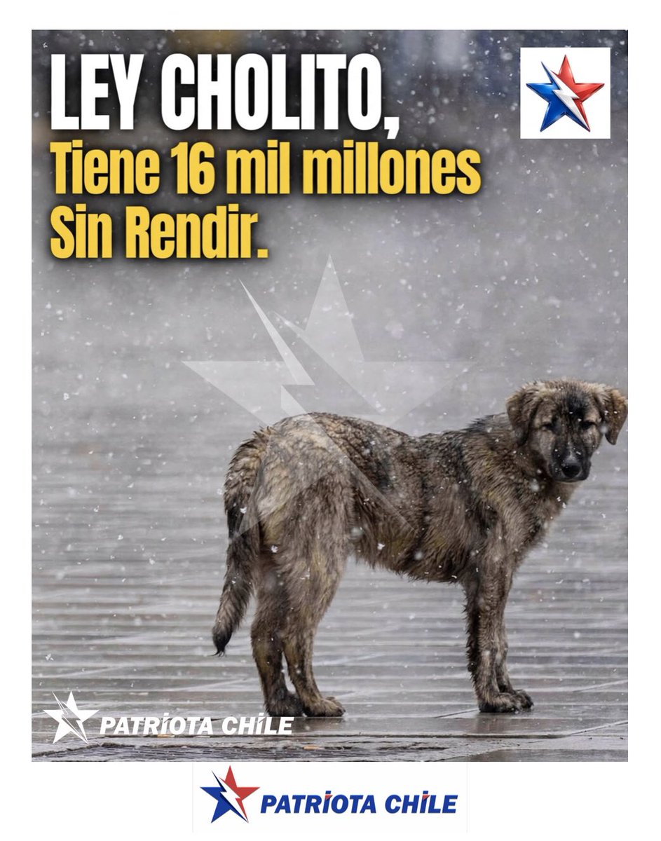 Soubirous_33's tweet photo. 🔴 #URGENTE | Patriotas, Contraloría destapa descontrol en Ley Cholito: municipios acumulan $16 mil millones sin ejecutar ni rendir. Este es un Recorte del Gobierno con Argumentos. ¡Excelente Medida! RT #LeyCholito #GobiernoDeKastEsGenial https://t.co/8oqdpN22Ly
