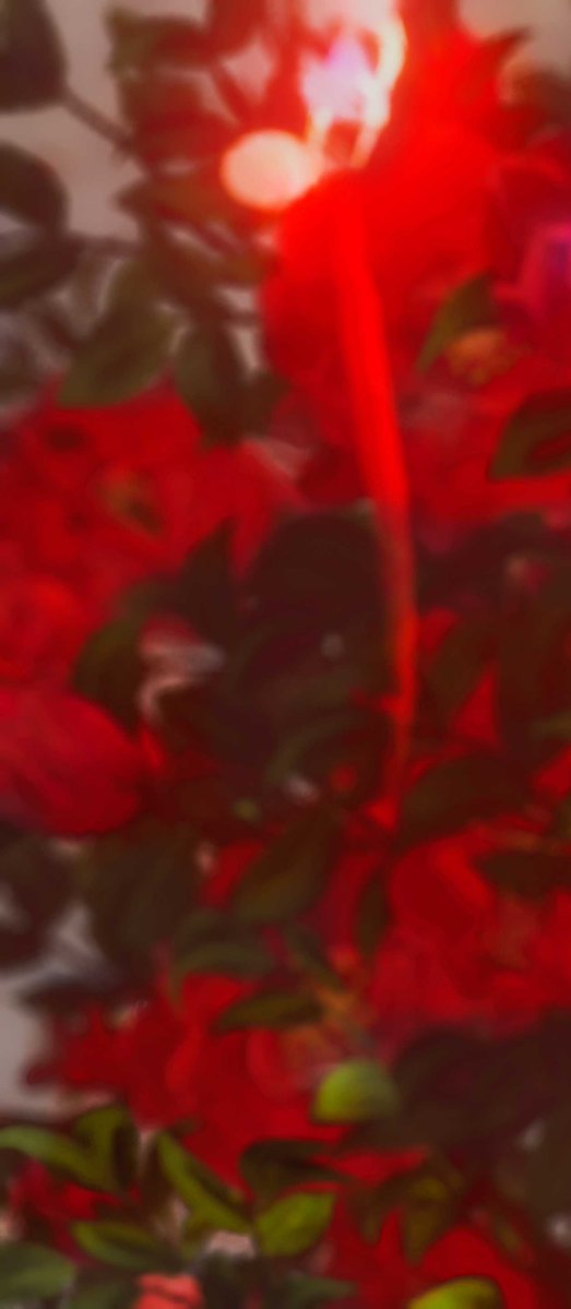 kagututi_WuWa's tweet photo. ⠀⠀⠀⠀⠀⠀フローヴァ / Phrolova
───────────────────
⠀⠀⠀⠀⠀⠀⠀⠀⠀「Conductor」

#フローヴァ
#鳴潮写真部
#PhrolovaDailyPic https://t.co/FpYTtlprqs