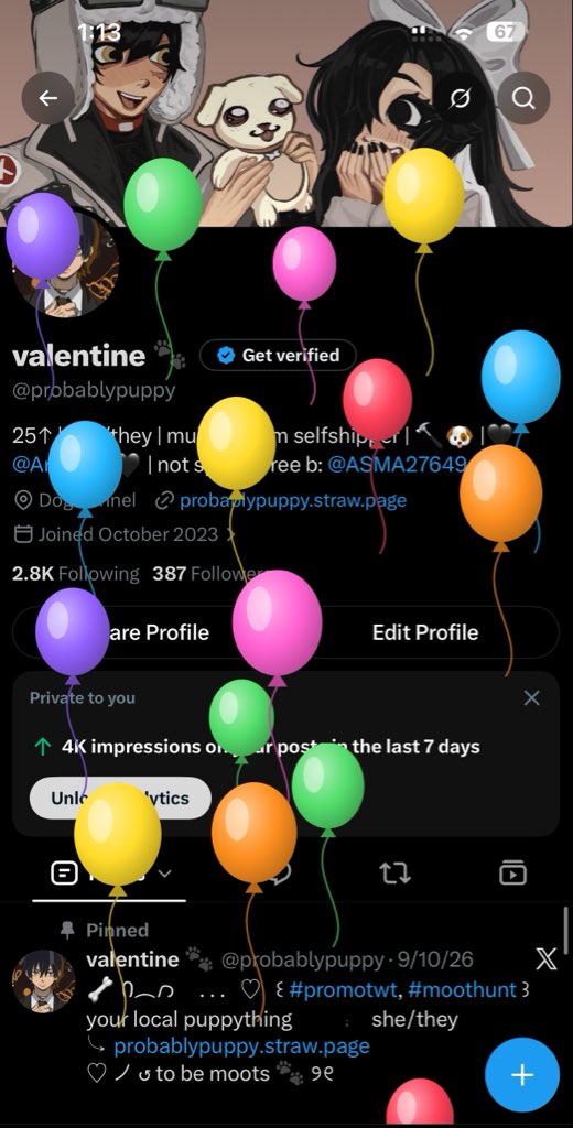 probablypuppy's tweet photo. Birthday 2day!!!!! :3 https://t.co/12m2FQS0F0