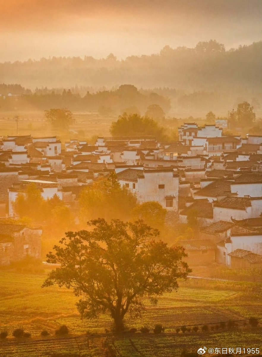 Kaka11876278's tweet photo. [The warm morning sun casts soft light on Ansi, where every grain of harvest carries the taste of hometown love]， https://t.co/9ql19EBfqG