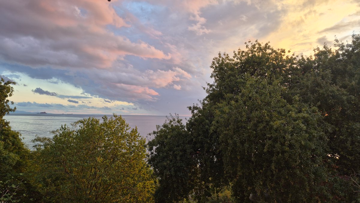 siterary's tweet photo. 🌲Multicolored clouds and a seaview behind the trees. #travel #seaview #clouds https://t.co/xdfP74hJK1