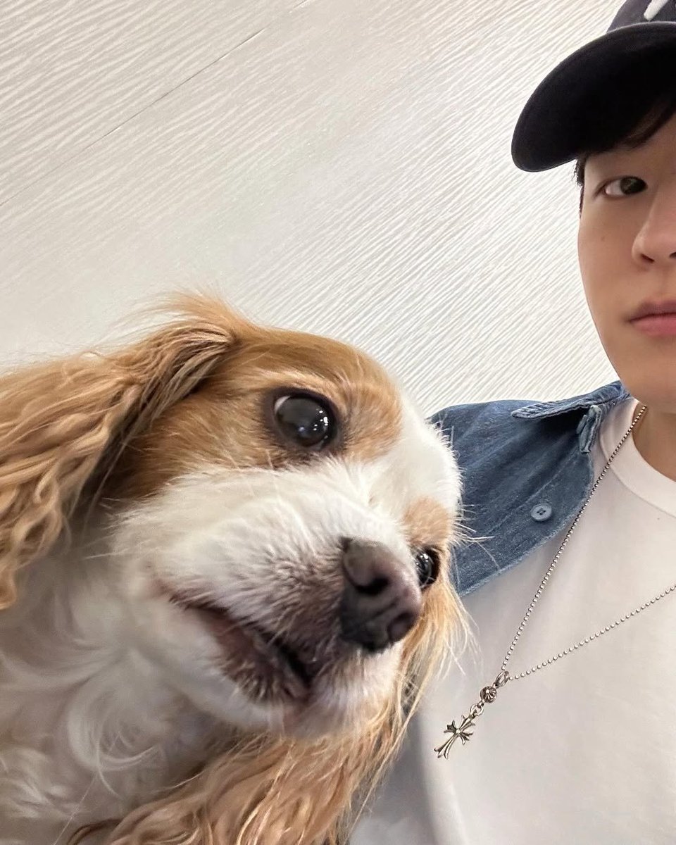 MRm0ng's tweet photo. seungmin with berry ♡ https://t.co/KC0VATiCUf