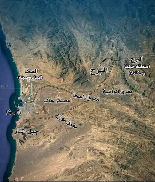 fattahfarid09's tweet photo. مصدر عسكري : طيران الأباتشي يمشط مناطق تمركز عناصر الحوثيين في جبل النار باتجاه معسكر خالد.

 #تعز #المخا #اليمن https://t.co/C2GWL1gok1