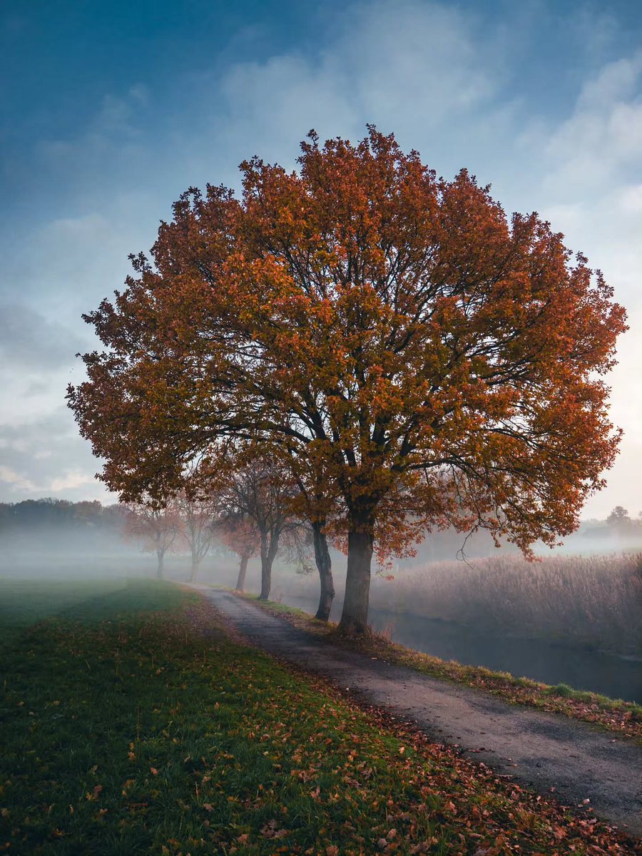 worldclick56's tweet photo. A very good reason to pull over 🍂 https://t.co/dpUqhnTF5U