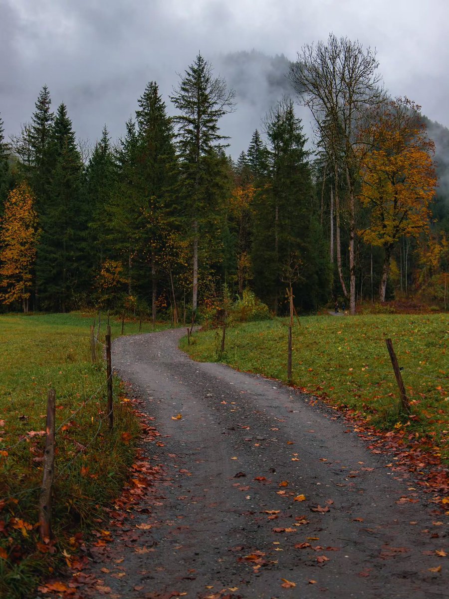 worldclick56's tweet photo. A very good reason to pull over 🍂 https://t.co/dpUqhnTF5U