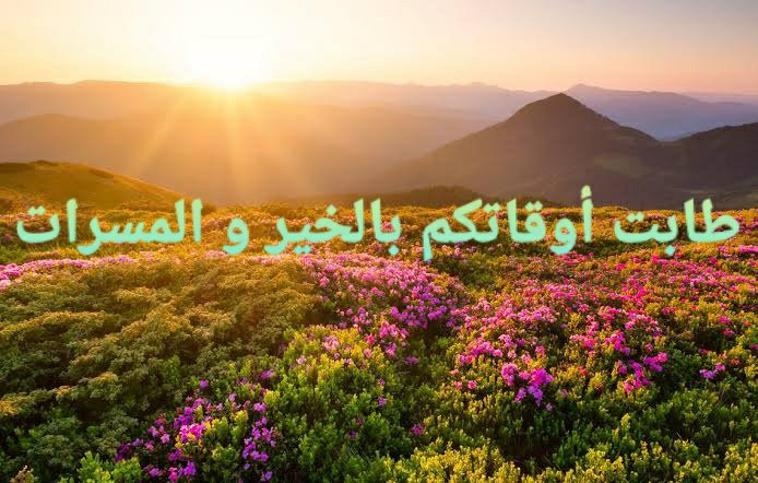 Barakaism's tweet photo. يقول الله تبارك وتعالى  : (ٱنظُرْ كَيْفَ كَذَبُواْ عَلَىٰٓ أَنفُسِهِمْ ۚ وَضَلَّ عَنْهُم مَّا كَانُواْ يَفْتَرُونَ).

#القرآن_الكريم 
#quran https://t.co/UYbILAQifk