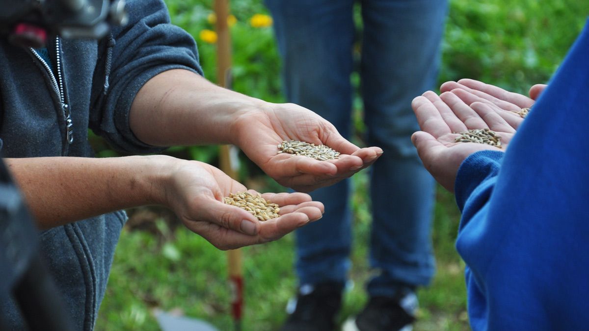 OneTVca's tweet photo. Escape to the garden with our award-winning series exploring the physical, mental, and social benefits of gardening, especially as we age.

#AgelessGardens airs Monday to Friday at 7:30 &amp; 9:30pm ET / 4:30 &amp; 6:30 PT! https://t.co/1WOcuZ53Ys https://t.co/KvPmTLb1wH