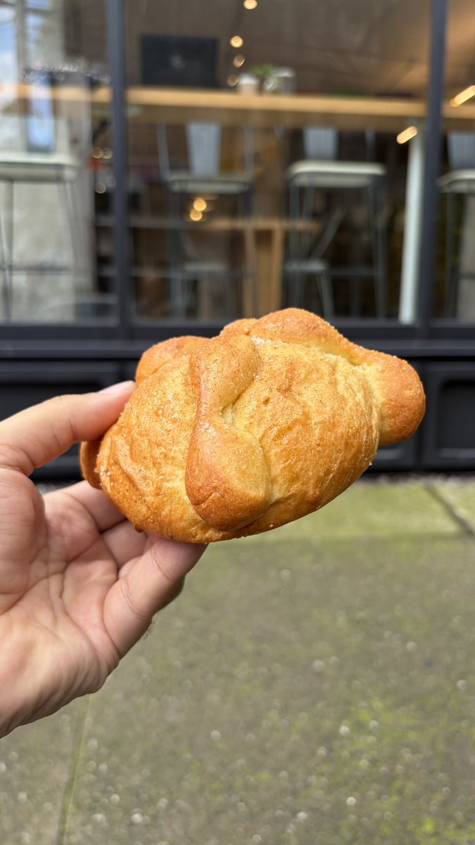 RodrigoDelgado's tweet photo. El 6to. Pan de Muerto fue el peor hasta ahora, fue de Tirso’S Coffee en la Roma. Y es que tienen el pan refrigerado, con el azúcar húmeda y semi disuelta. Lo hornean y resulta ser un pan chicloso que se pone más duro que momia de Guanajuato en segundos. No tiene sabor alguno… #PanDeMuertoChallenge