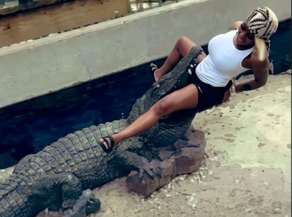 ShuaibUnserious's tweet photo. Wemen if crocodiles had money. https://t.co/9QJkaTJNle