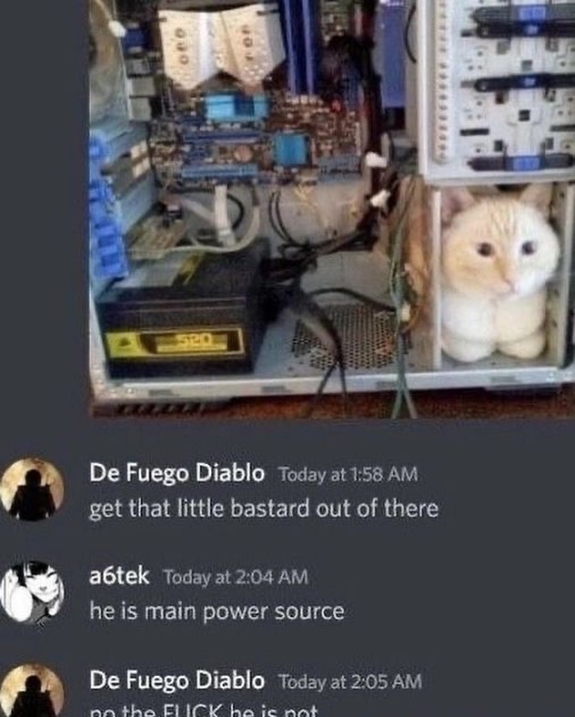 PunchingCat's tweet photo. https://t.co/Jw7unfQDKL