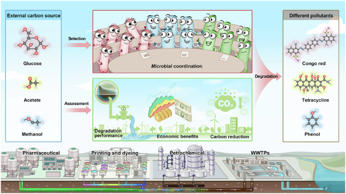 CommsEarth's tweet photo. Carbon source and pollutant matching shapes microbial succession and removal regimes under electrochemical redox control dlvr.​it/TVpMT4 https://t.co/SMtWBKF7In
