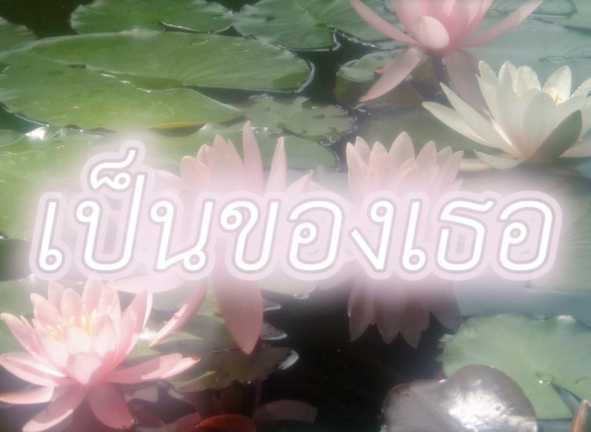 toonmhu's tweet photo. 🪷🪷🧘🏻‍♀️🧘🏻‍♀️🤲🏻🤲🏻 https://t.co/ARqZtqQIyJ