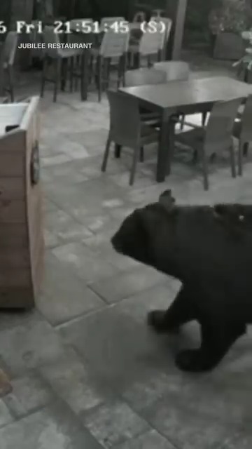 A nighttime security camera shows a bear walking through an empty restaurant patio with tables and chairs, timestamped "Fri 21:51:45" with "JUBILEE RESTAURANT" displayed.