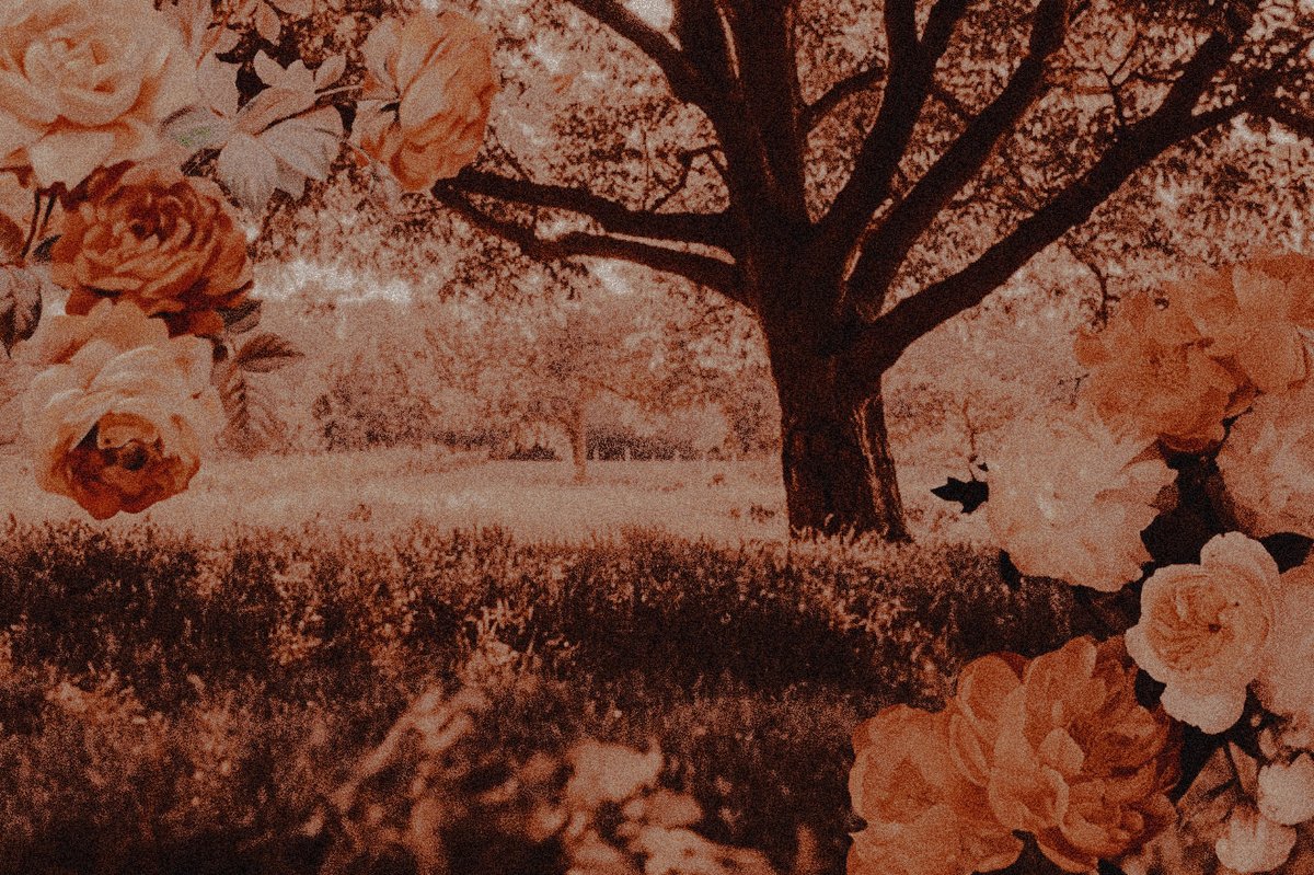 knightspuppeter's tweet photo. Tanselle sat below the tree , breeze running across her cheeks , paint splotted hands mixing a few colors together .

         She let the brush gently begin creating what her mind wished to bring to the canvas , a melodic hum escaping her lips as she worked . https://t.co/qYJA3P8wom