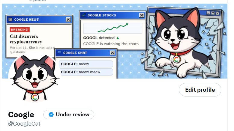 CoogleCat tweet picture