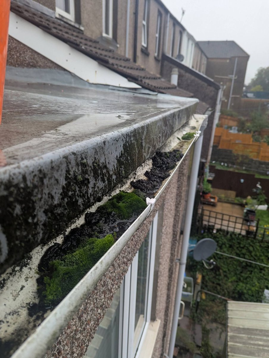 LocalCleans's tweet photo. Don’t let your gutters become a problem!⚠️

Leaves, moss and debris can cause blockages, overflowing water and damp.

Get them emptied and cleaned before the problem starts.

📍 Bridgend &amp; surrounding areas
📞 07842 997488

Get in touch today for a free quote!

#SouthWales https://t.co/3dtZiUTKrk