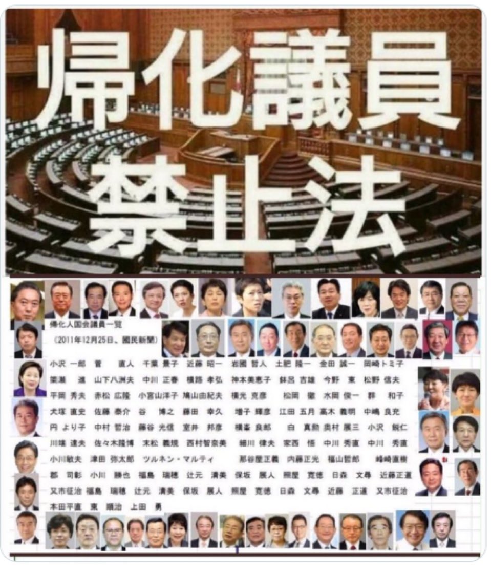 everyquest3's tweet photo. 帰化議員禁止法🈲必要だと思う人 RT👿 https://t.co/cs1czDHwwk