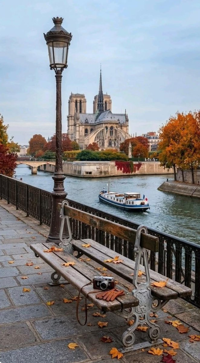naturebeauty760's tweet photo. Paris, France 🇫🇷 https://t.co/2gEiDBDz7f