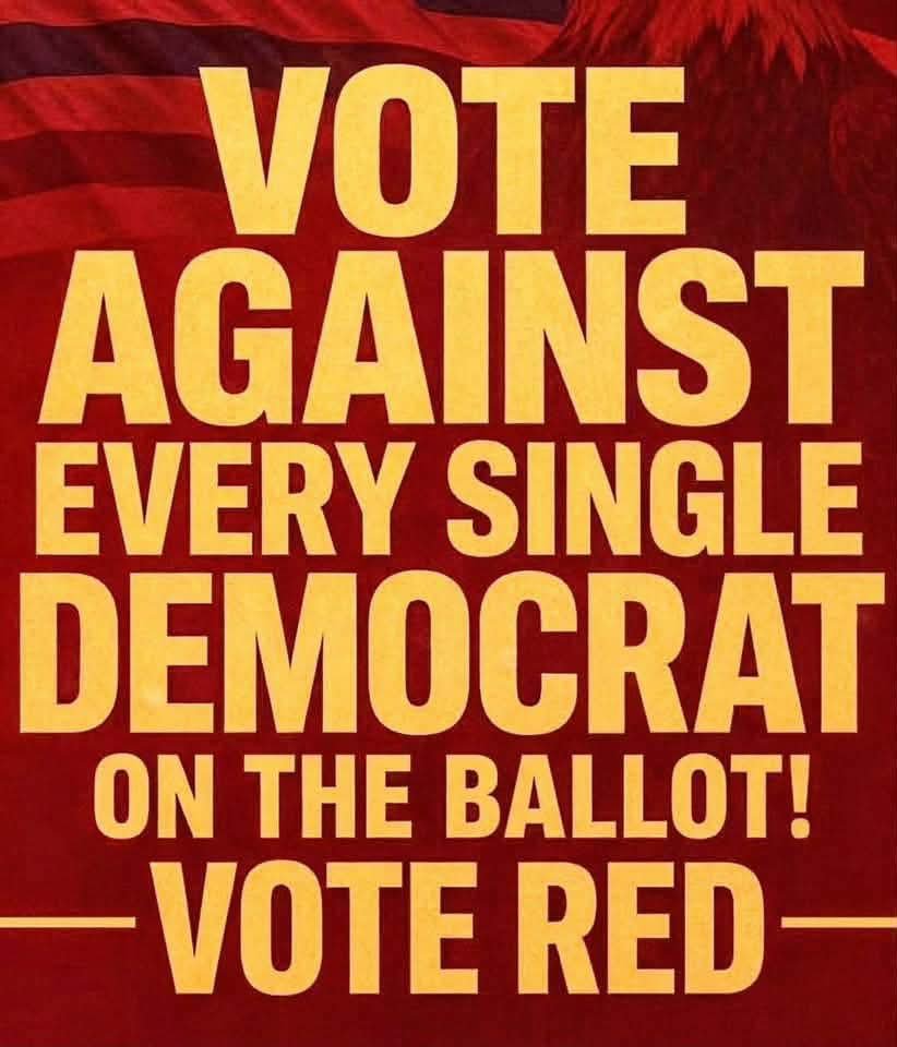 realSashaBella's tweet photo. Every single demonrat must go!
Every single one! https://t.co/zRc47J55bo