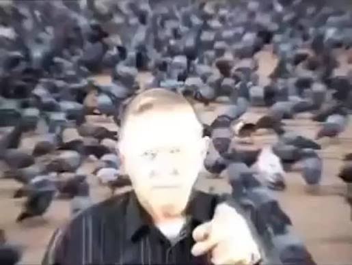 Nikoswat2's tweet photo. @KBunink 7000 balloons celebrate this man https://t.co/EtNT5tyDca