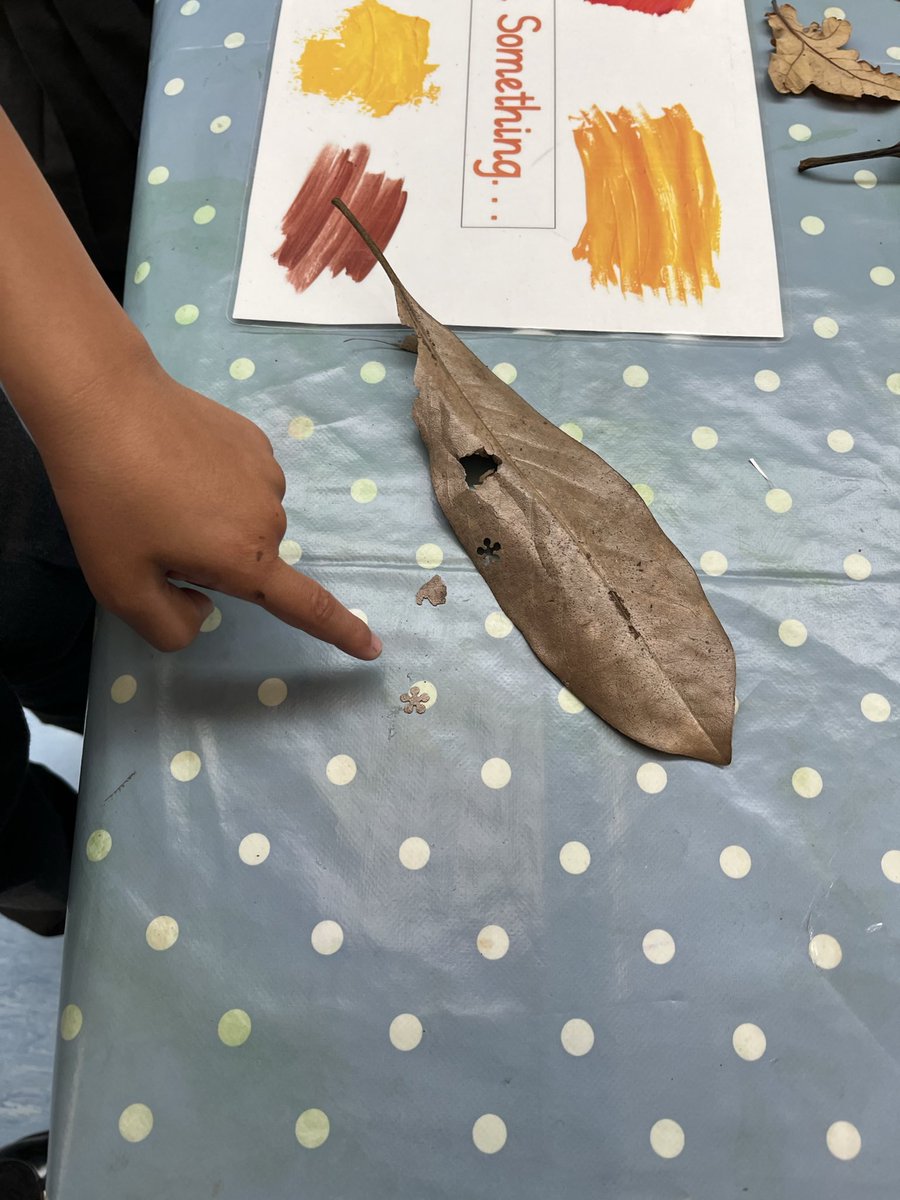 ReceptionBh's tweet photo. Developing our fine motor using a hole punch with our beautiful leaves. “Look it’s a snowflake.” @busheyheathjm #busheyheathPD https://t.co/UPnbvrIY9t