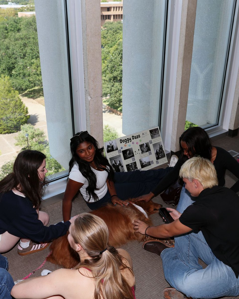 utalibraries's tweet photo. Need a break from the semester? Doggy Days is back Oct. 28.

Come visit with therapy dogs, take a breather and learn how these amazing dogs help people. Your to-do list can wait a few minutes. https://t.co/QOIBveWSvB