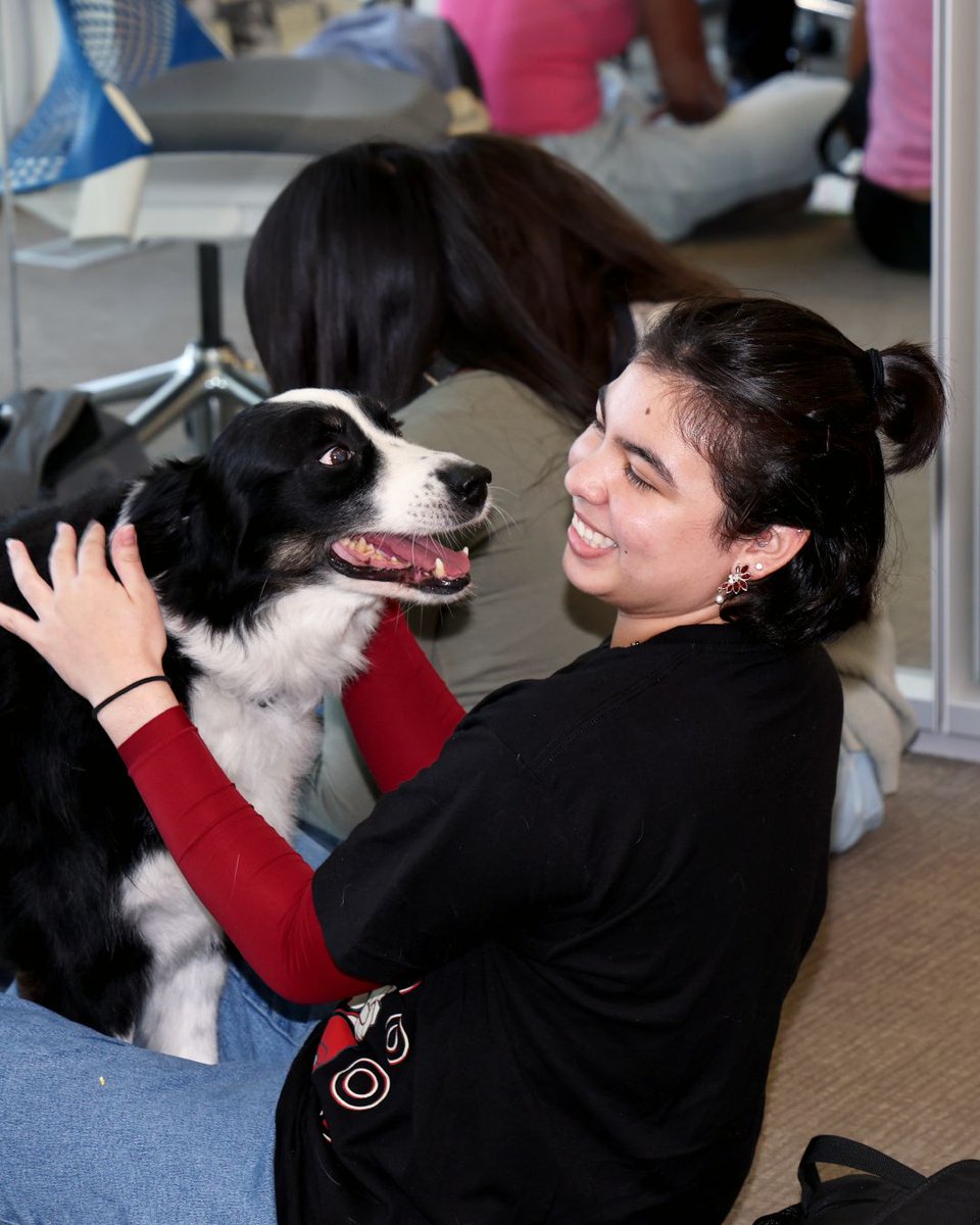 utalibraries's tweet photo. Need a break from the semester? Doggy Days is back Oct. 28.

Come visit with therapy dogs, take a breather and learn how these amazing dogs help people. Your to-do list can wait a few minutes. https://t.co/QOIBveWSvB